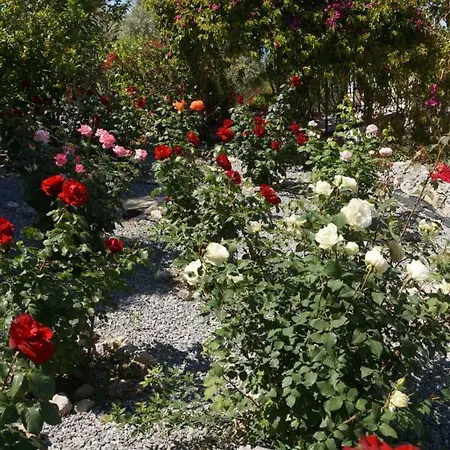 Layla Vilă Kyrenia (Northern Cyprus)