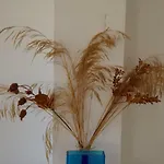 Layla וילה *