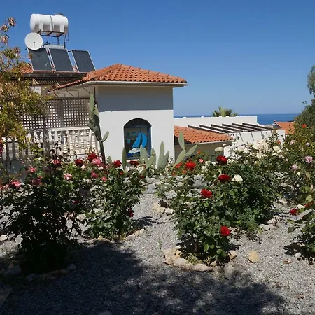 Layla * Кирения