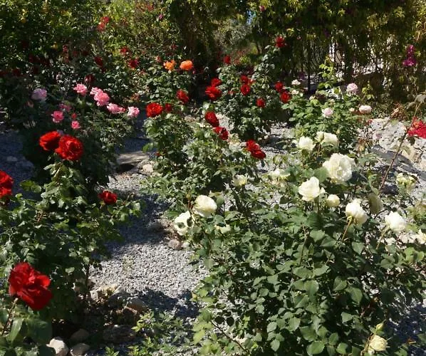 Layla Villa Kyrenia (Northern Cyprus)