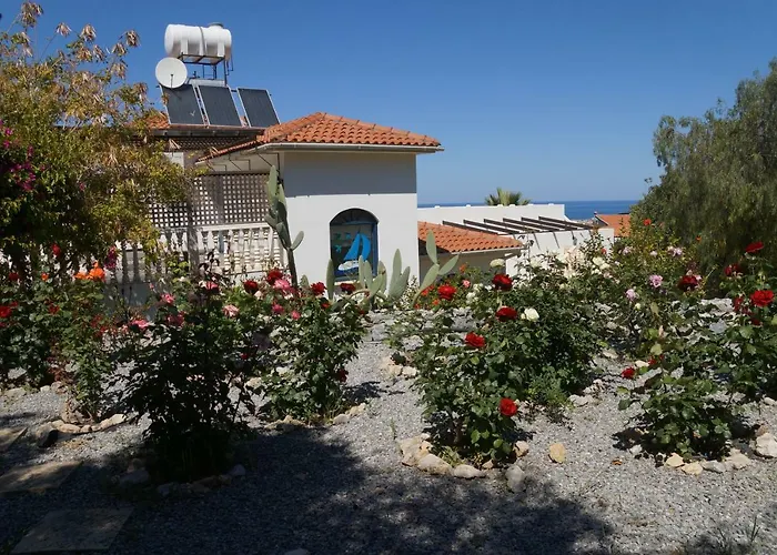 Layla * Kyrenia (Northern Cyprus)