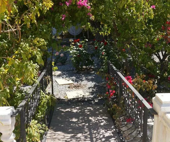 Layla * Kyrenia (Northern Cyprus)